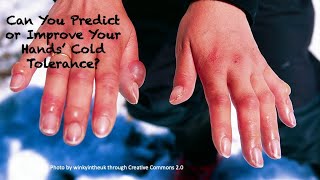 Can you predict or improve your hand's cold tolerance?