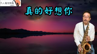 真的好想你-凡人薩克斯風/朝陽演奏