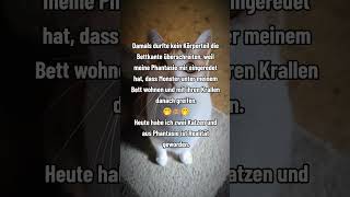 #shorts #youtubeshors #storyfeeds #viralshorts #katze #lustig ##spaß