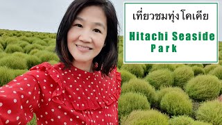 เที่ยวชมทุ่งโคเคียที่ญี่ปุ่น ณ Hitachi Seaside Park | psvarayu (ENG CC) ชวนเที่ยว