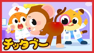 どうぶつさんたち❗痛いのどこかな❓ 🐵🐶🐹| どうぶつの歌 | 子供向けアニマルソング | キッズソング | 人気童謡 | #チッタブー