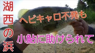 湖西の浜　ヘビキャロ不発も小鮎の群れに助けられダウズビドーで！