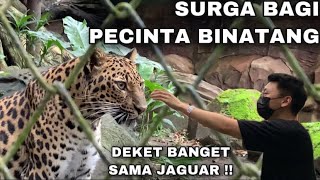 RATUSAN HEWAN KEREN ADA DISINI ! SURGANYA PECINTA SATWA BISA DEKET BANGET SAMA HEWAN HEWAN KEREN !!