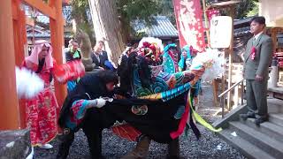 お祭りハンター早良皇子の稲成祭り2019〜荒光獅子舞-親子獅子❗