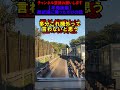 【単発後編】鉄道関係ないけど激しく後悔してます... 鉄道 ゆっくり鉄道旅