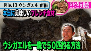 【閲覧注意】巨大ウシガエルがすし詰め！一晩で50匹釣る方法　天然食材ハンター谷田圭太の野人塾　File13 《ウシガエル 前編》