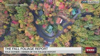 Fall foliage: When the leaves are expected to change in Tennessee