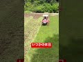 【トラクター】【田んぼ】いつかの休日 tractor japanlife japan