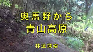 【酷道 険道】奥馬野から林道経由で青山高原道路へ【モトブログ】大人のバイク NC700 インテグラ