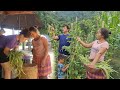 Daily life of a couple Harvesting beans to bring to the store to sell