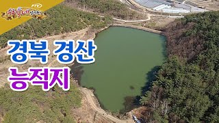 [다시 보기] FTV 우리동네 낚시터 - 경북 경산 능적지