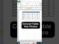 Excel Table Convert Into Picture | TrickoWorld