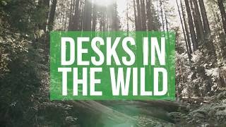 Tiny Desk Contest 2018: Desks In The Wild