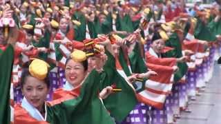 高知よさこい祭り2013　一日目　高新RKCグループ　帯屋町競演場