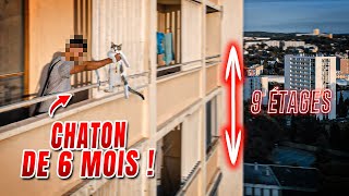 IL JETTE UN CHATON DU 9 ÈME ÉTAGE SOUS NOS YEUX ! ( CAM OFF )