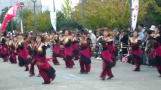 よさこい集団 舞動パエリア　(泉州ゑぇじゃないか祭り2009　海への道会場)