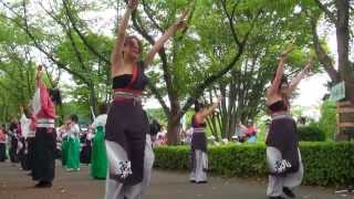 庄和舞人 軌　in　 上尾元気祭り 2011