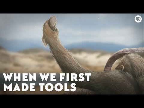 What were the Australopithecus tools?