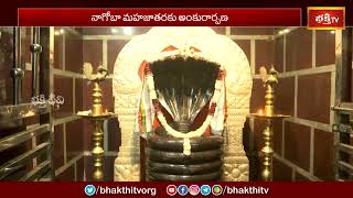 దేశంలో రెండో అతిపెద్ద గిరిజన సాంస్కృతిక వేడుక నాగోబా మహాజాతరకు అంకురార్పణ | Nagoba Mahajatara