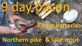 9 day bacon | camp batteries | big pike and lake trout