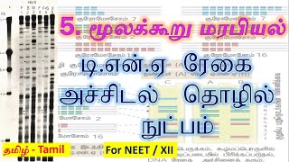 12th Class | Lesson 5 | DNA Finger printing Technique | டி.என்.ஏ ரேகை அச்சிடல் தொழில் நுட்பம் |Tamil