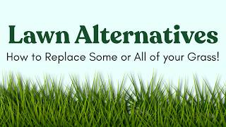 Lawn Alternatives: How to Replace Some or All of Your Grass!