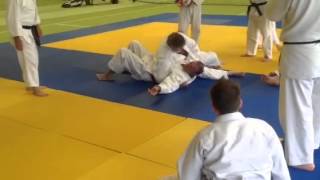 Wickford judo Ryu summer seminar 2014