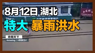 8月12日，湖北隨州遭遇特大暴雨洪水，柳林鎮中心被淹水位猛漲至二樓，洪水淹沒街道、村莊、橋梁，交通、通訊、電力中斷，大量群眾被困。｜奇聞天下【異象生】｜