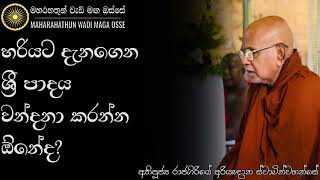 සිරීපාදේ යනවා නම් ඔබත් මේ විදියට කරන්න | Ven. Rajagiriye Ariyagnana Thero | Maharahathun Wadi Maga