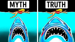 Biggest Myths About Megalodon Movies Made Us Believe