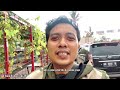 gamma grape experience malang wisata petik anggur terbaru di daerah tumpang