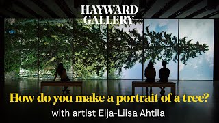 Among the Trees - How Do You Make A Portrait Of A Tree? | Hayward Gallery