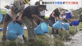 「元気に育って」　小学生がアマゴを放流　山間部を流れる清流に成魚350匹　愛知・豊田市(2022/10/4)