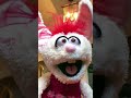 Darci Lynne tiktok with Petunia