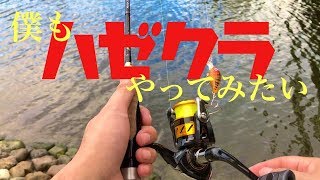 旧中川！ルアーでハゼを釣ってみたい！