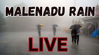 Malenadu Rain | Colors of Mansoon  | ಮಲೆನಾಡಿನ ಮಳೆ | #mansoon #rain #rainyday #rainlive