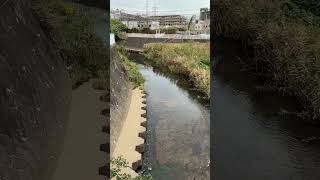 【４K映像】赤関橋の朝　Morning at Akaseki Bridge