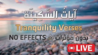 بدون مؤثرات | آيات السكينة بصوت القارئ عمر بن ضياء الدين | No Effects | AYAT OF TRANQUILITY SAKINAH