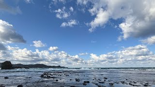 浜田市の水族館と海【サイバー大学 北村ゼミ16期生】