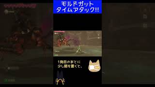 【スカウォHD】モルドガットのタイムアタックに挑む！