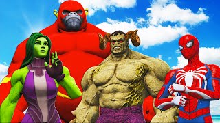 FLASH GORILLA vs Spider-Man & HULK Revenger & She-Hulk