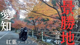 愛知県「最後の紅葉ツーリング」穴場で岡崎市内屈指の景勝地！かおれ渓谷に行く！