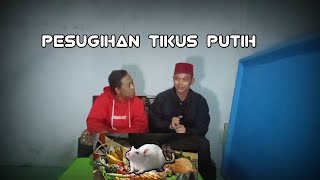 PESUGIHAN TIKUS PUTIH #CERITAAPAADANYA