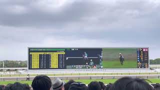 天皇賞(春)2023 本馬場入場