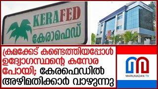 കേരഫെഡ് ക്രമക്കേടു റിപ്പോര്‍ട്ട് ചെയത ഉദ്യോഗസ്ഥന് അടിയന്തര സ്ഥലംമാറ്റം I Kerafed