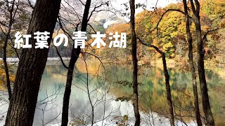 紅葉の青木湖2020/11/4【仁科三湖】長野県大町市