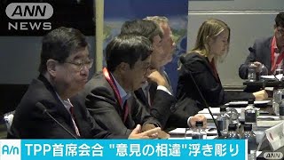 TPP首席会合の初日終了　各国の意見の違いが露呈(17/08/29)