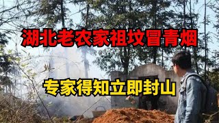 湖北老農家祖墳冒青煙，本以為要飛黃騰達，專家得知卻立即封山 #古董 #開棺 #古墓 #考古發現 #考古