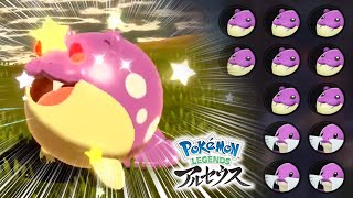 【色違いオヤブン】気付いたらタマザラシが大量www【大大大発生 / ポケモンレジェンズアルセウス Pokémon LEGENDS アルセウス】