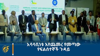 አሳሳቢነቱ እየጨመረ የመጣው የፍልሰተኞች ጉዳይ